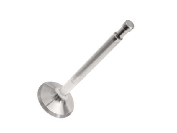 Valve - Exhaust