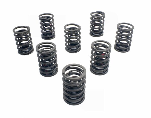 Valve Spring Set
