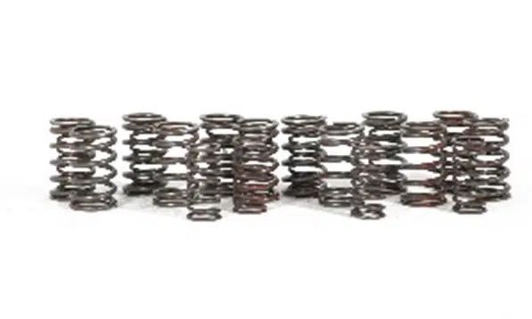 Valve Spring Set