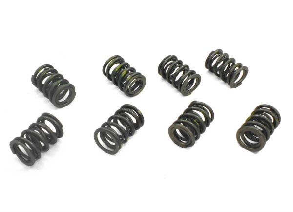 Uprated Valve Spring Set